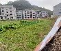预选赛巅峰对决！岭东火箭队小胜关中赤兔队，摔跤赛场再起波澜；韧性与执行并存的简单介绍-九游(中国)