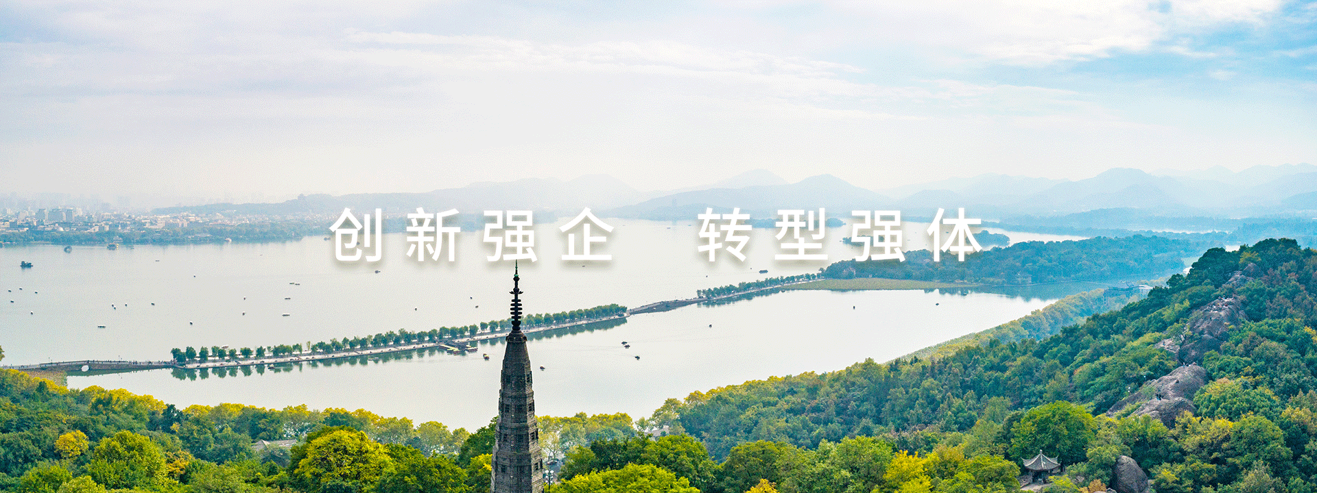 数据表现