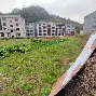 预选赛巅峰对决！岭东火箭队小胜关中赤兔队，摔跤赛场再起波澜；韧性与执行并存的简单介绍